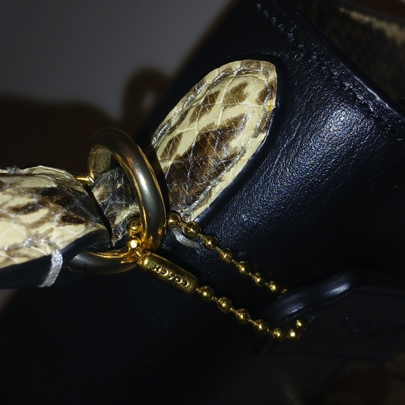 Coach Pepper - Picture 4 of 16